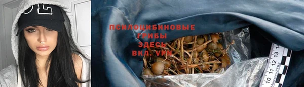 прущая мука Козловка