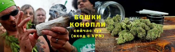 прущая мука Козловка