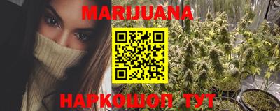 гидра Беслан