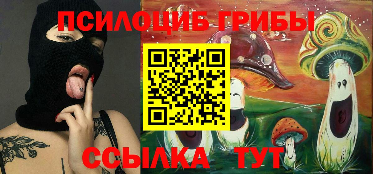 Галлюциногенные грибы Cubensis Екатеринбург